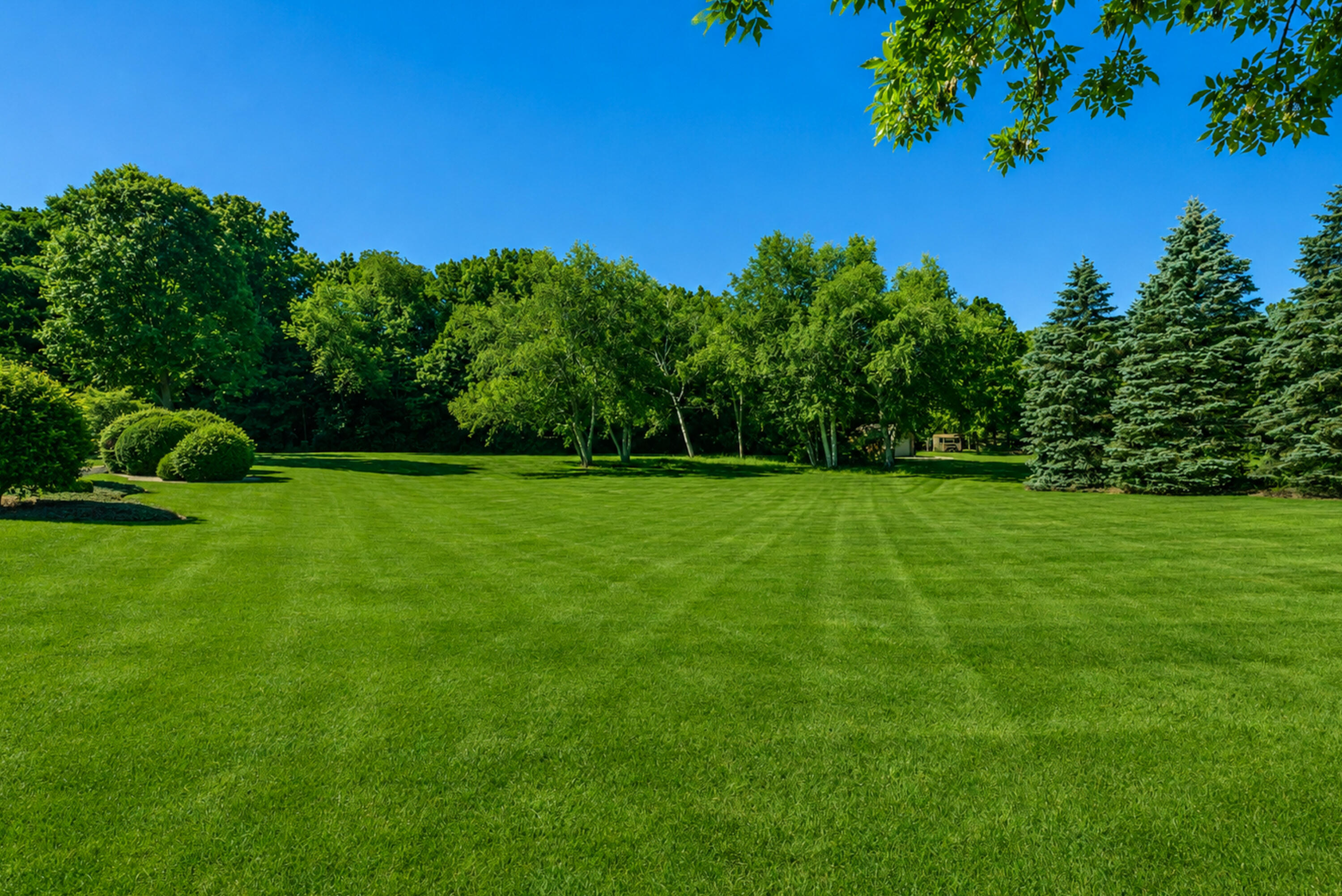 6725 Brook Road Caledonia, WI 53126 - Photo 29 of 33 Yard