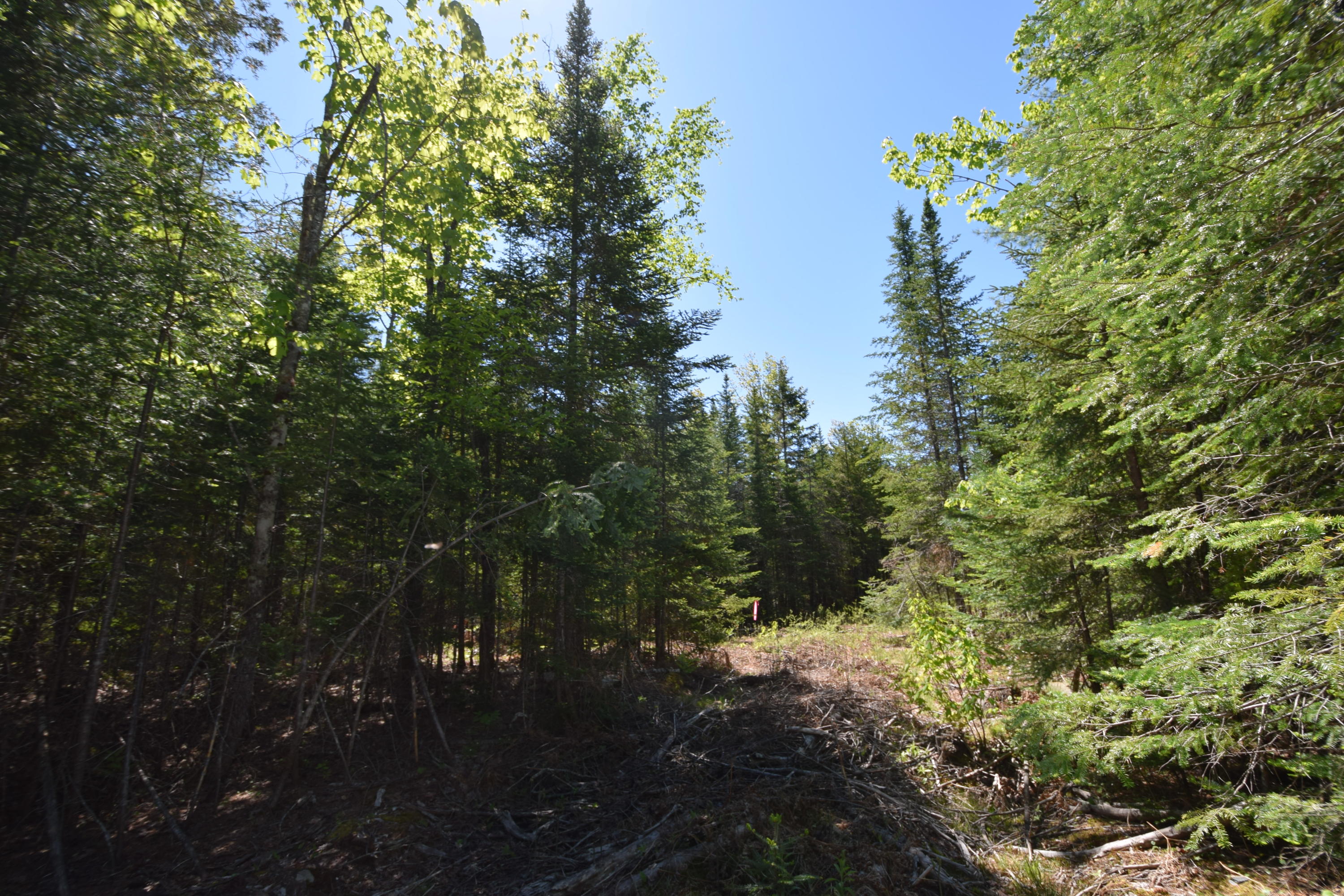 Lot 18 Tenney Hill Road Monson, ME 04464 - Photo 29 of 41 2020-06-01 22.50.55