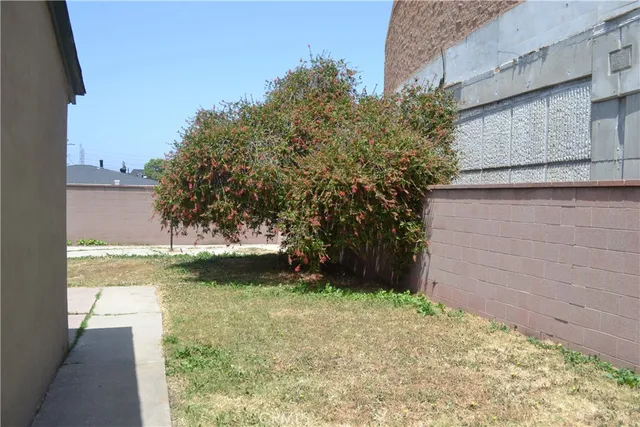a view of a backyard with large trees