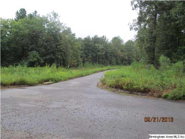0 Lock 4 Road, Unit 3 PARCEL Lincoln, AL 35096 - Photo 1 of 10