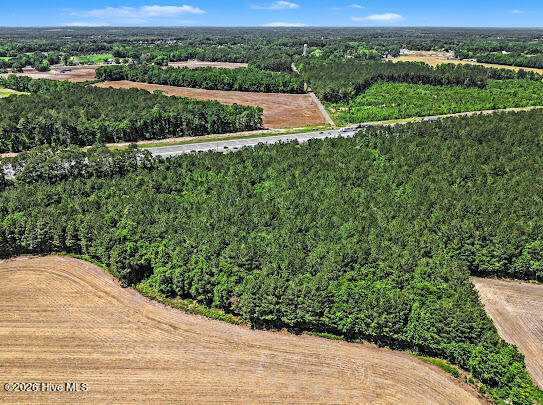 4.47-ac Purdy Matthews Road Wade, NC 28395 - Photo 3 of 25