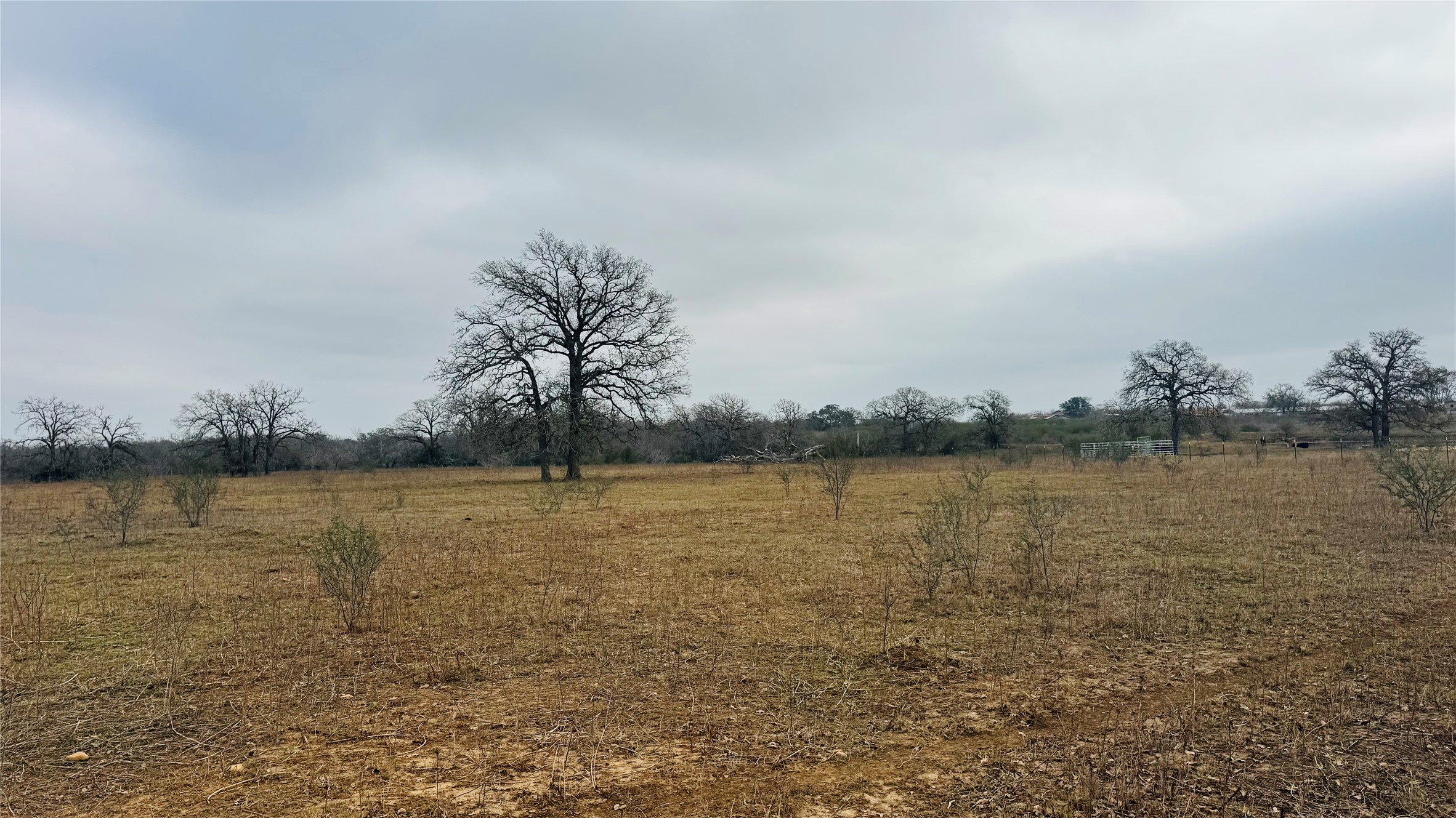 921 Johnson Farms Road Harwood, TX 78632 - Photo 2 of 8 a view of a lake view