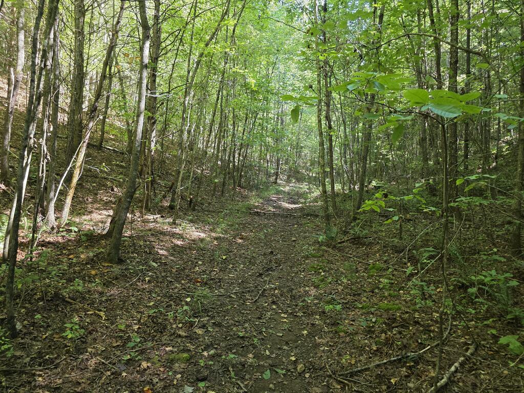 34.98 Hall Road Farner, TN 37333 - Photo 41 of 45 Gallery Image 41
