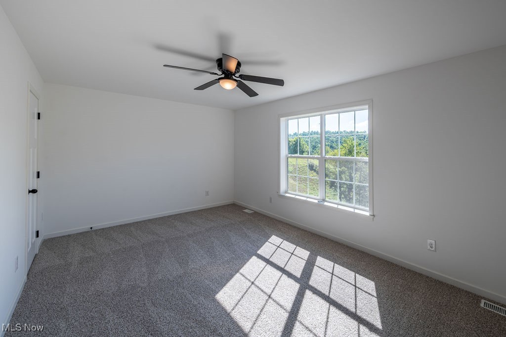 7343 Lost Pavement Road Belleville, WV 26133 - Photo 26 of 49 Spare room with carpet flooring and ceiling fan