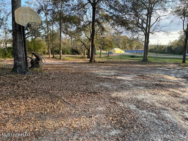 705 George Ford Road Carriere, MS 39426 - Photo 14 of 17 IMG_2276