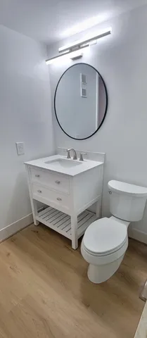 a bathroom with a sink and a toilet