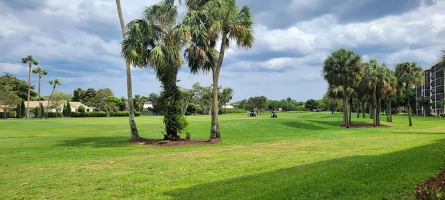 a view of a park and trees