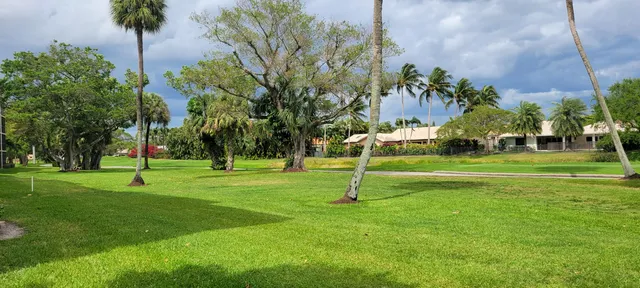a view of a park with palm trees