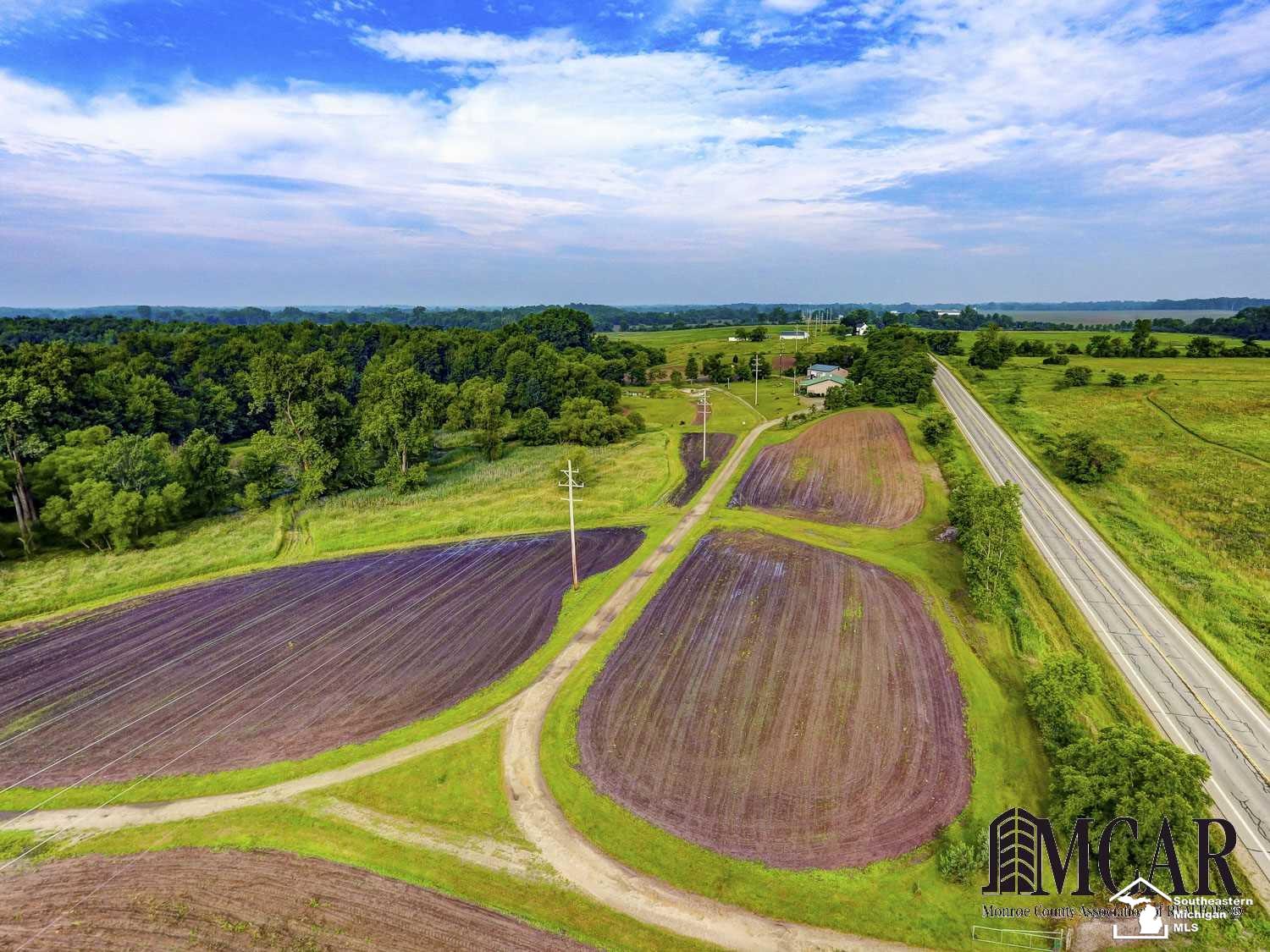 12695 West Carleton Road Clayton, MI 49235 - Photo 37 of 38 Some crops