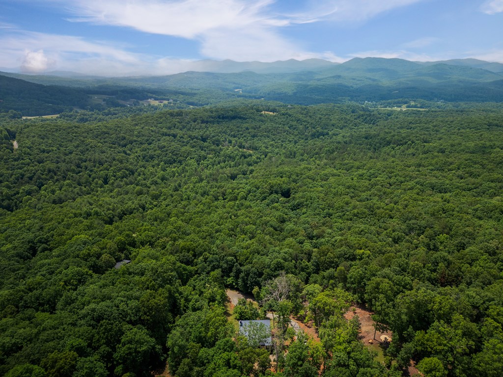 310 Wunder Bear Ridge Morganton, GA 30560 - Photo 43 of 54