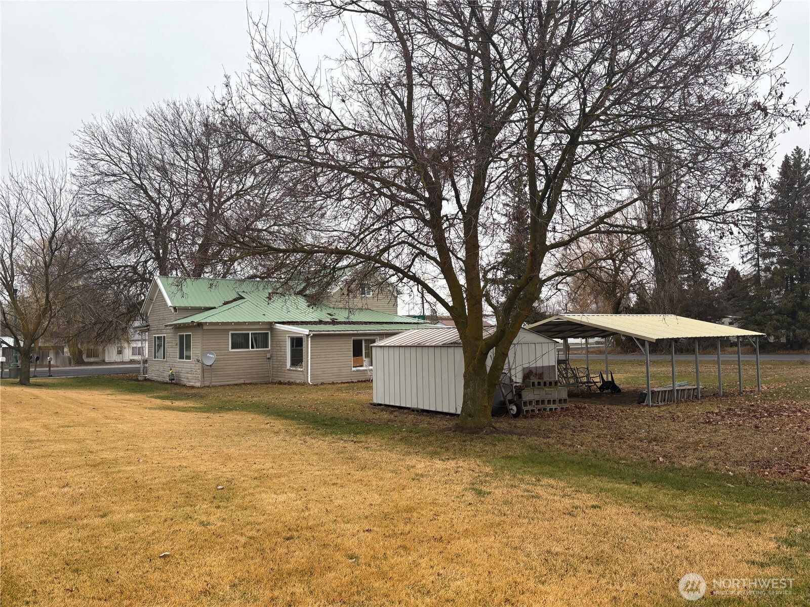 208 North 3rd Street Harrington, WA 99134 - Photo 6 of 16 a view of a house with a large tree and sitting area