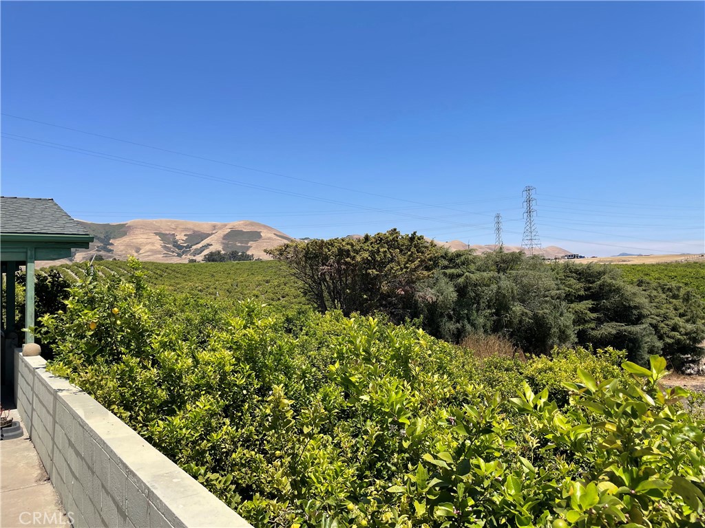 215 Rancho Road Nipomo, CA 93444 - Photo 6 of 6 a view of a green field with lots of bushes