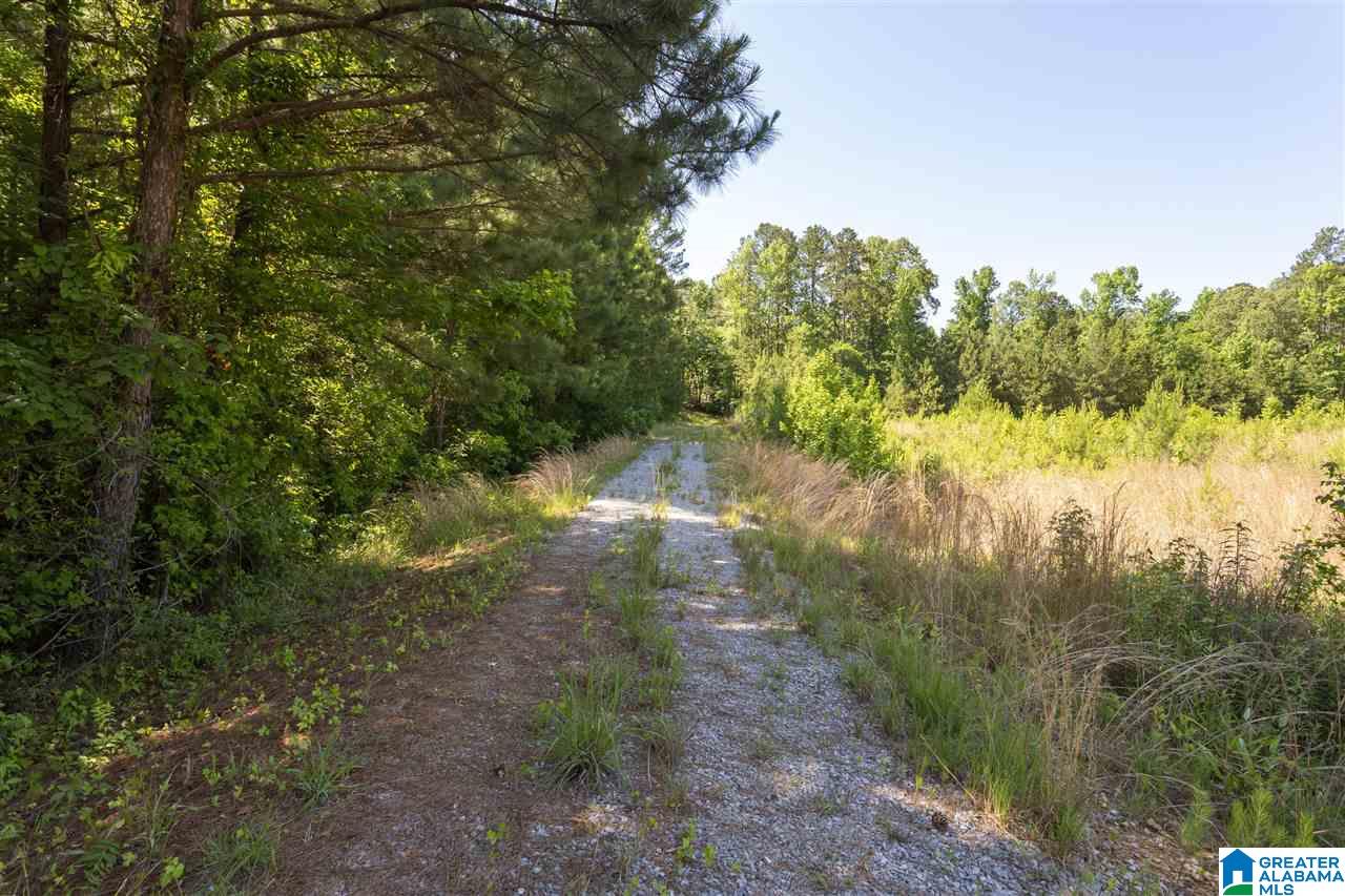 948 Old Deer Creek Road Sterrett, AL 35147 - Photo 3 of 19