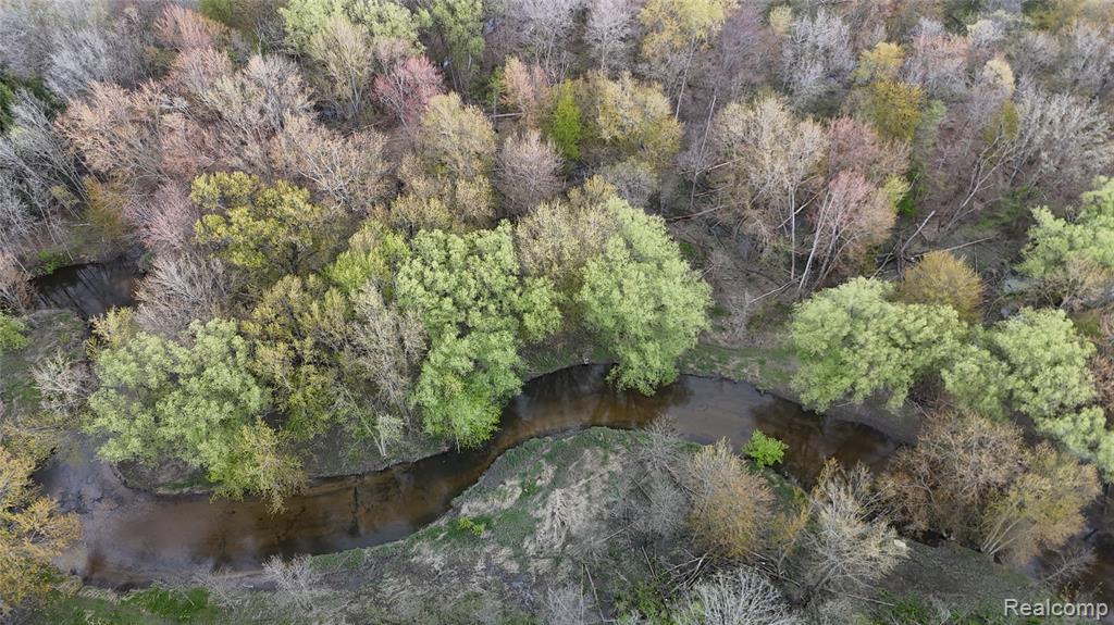 6882 Jones Road North Branch, MI 48461 - Photo 54 of 64