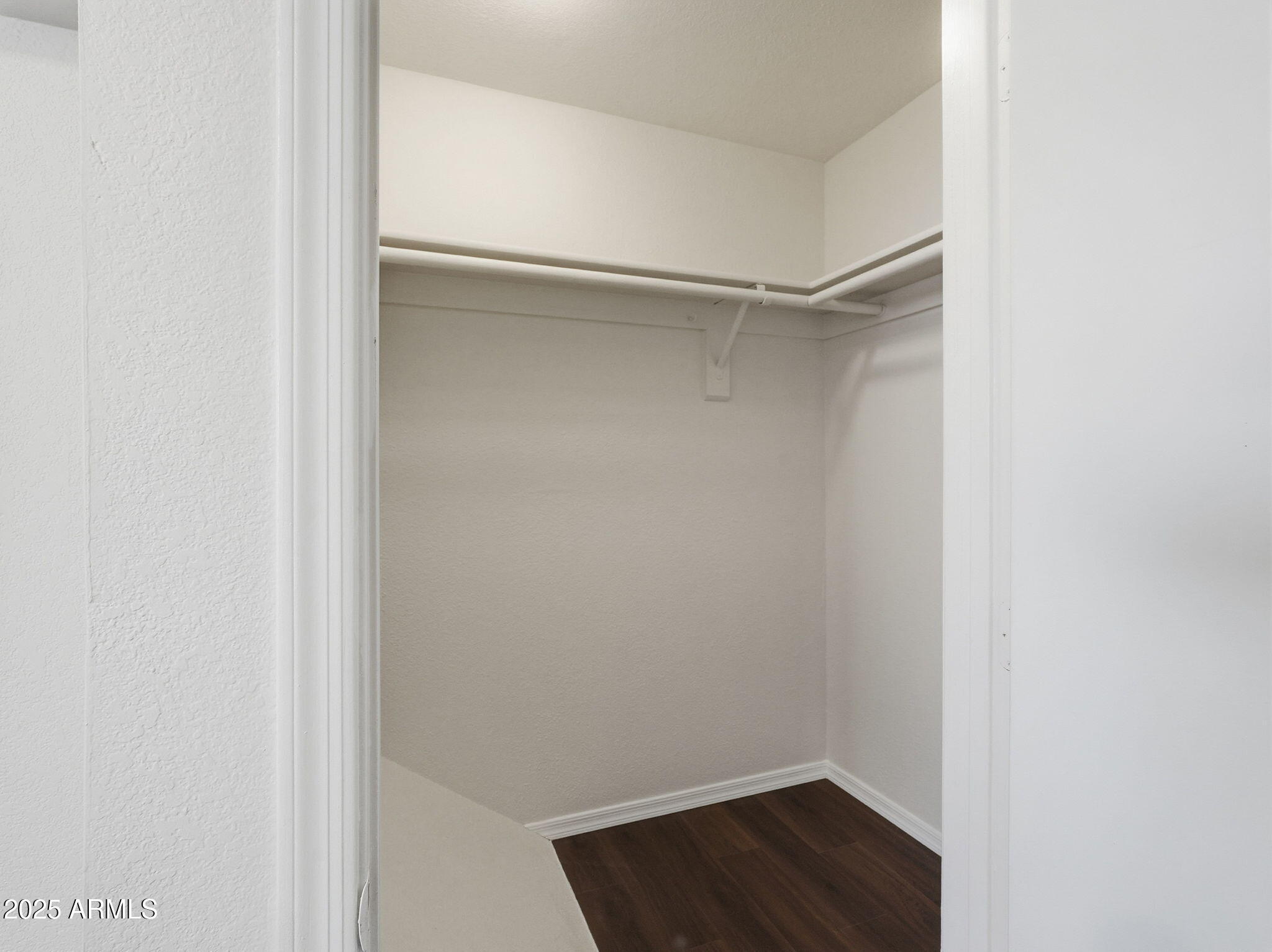 510 North Alma School Road, Unit 223 Mesa, AZ 85201 - Photo 15 of 25 a view of an empty walk in closet