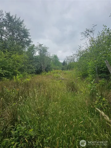a view of a lush green space