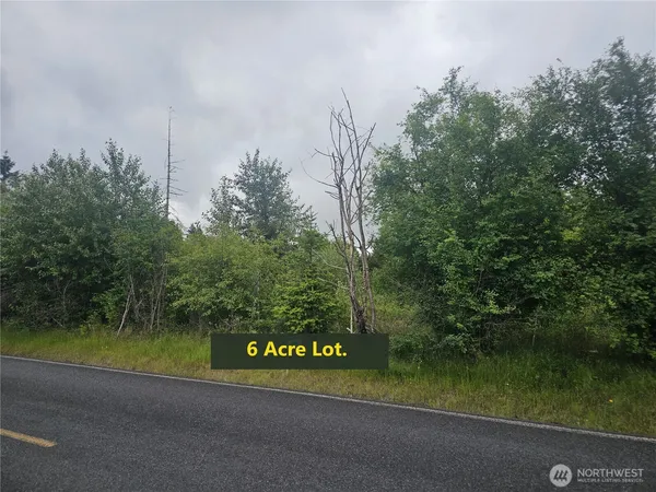 a view of a lush green space