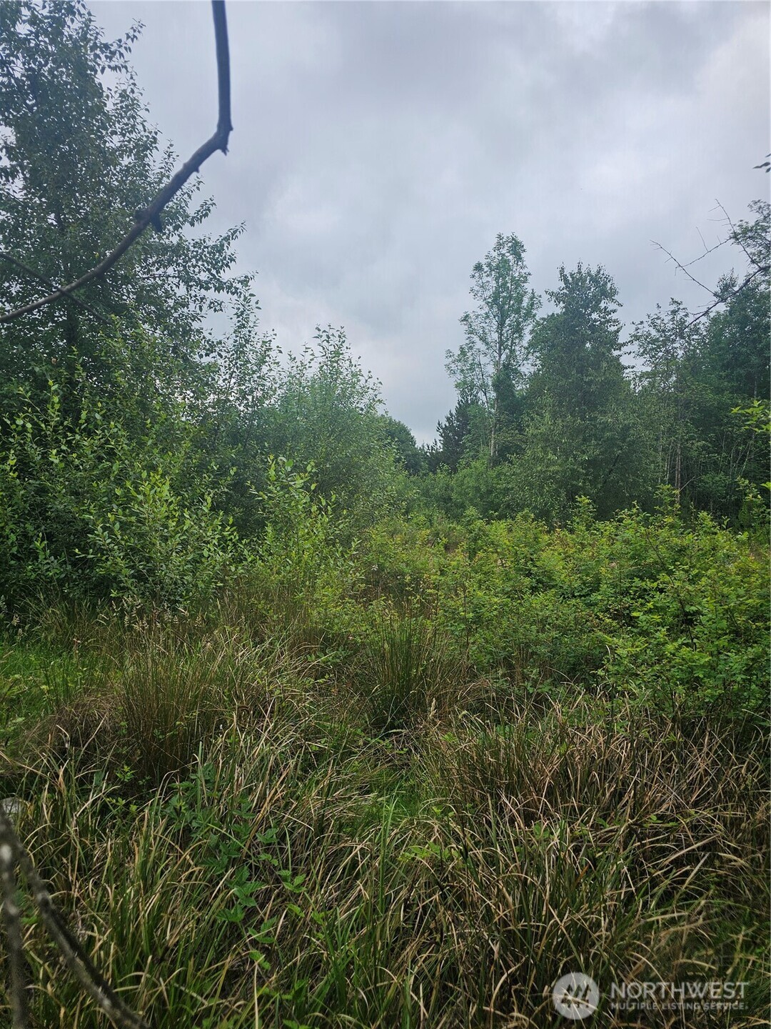 565 Oyler Road Toledo, WA 98591 - Photo 2 of 10 a view of a green field with lots of bushes