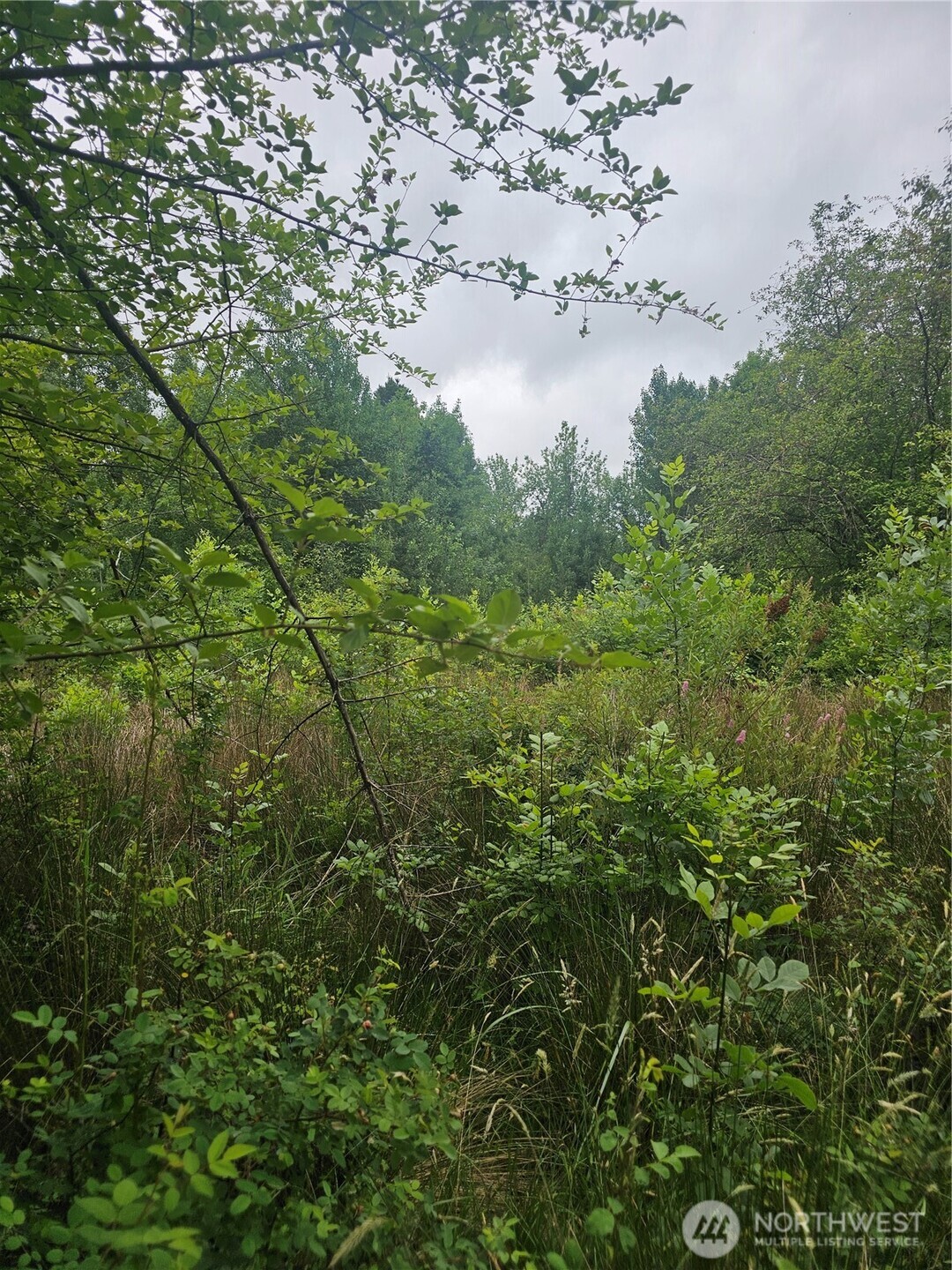 565 Oyler Road Toledo, WA 98591 - Photo 3 of 10 a view of a field of grass and trees