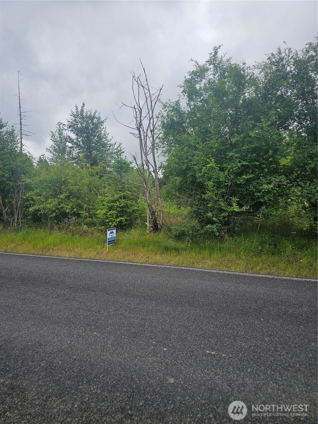 565 Oyler Road Toledo, WA 98591 - Photo 5 of 10 a view of a lake view with a big yard
