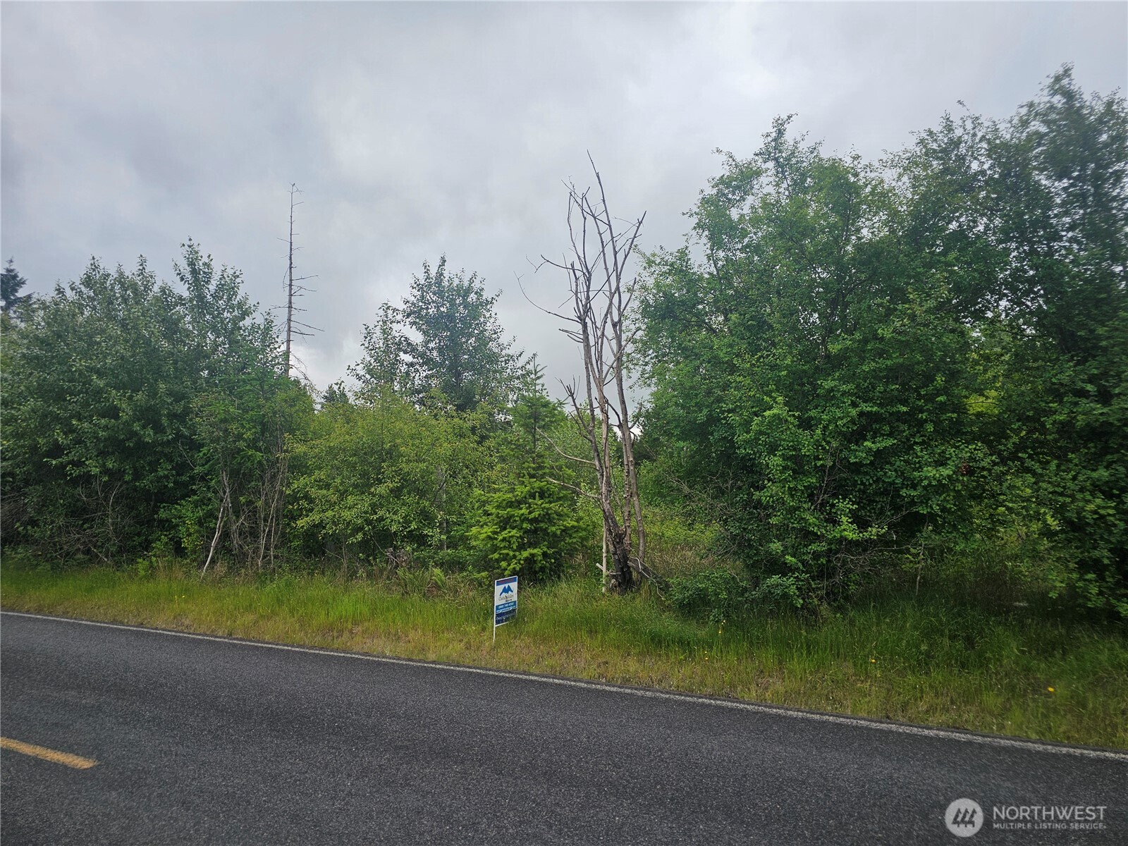 565 Oyler Road Toledo, WA 98591 - Photo 6 of 10 a view of a lake with a yard