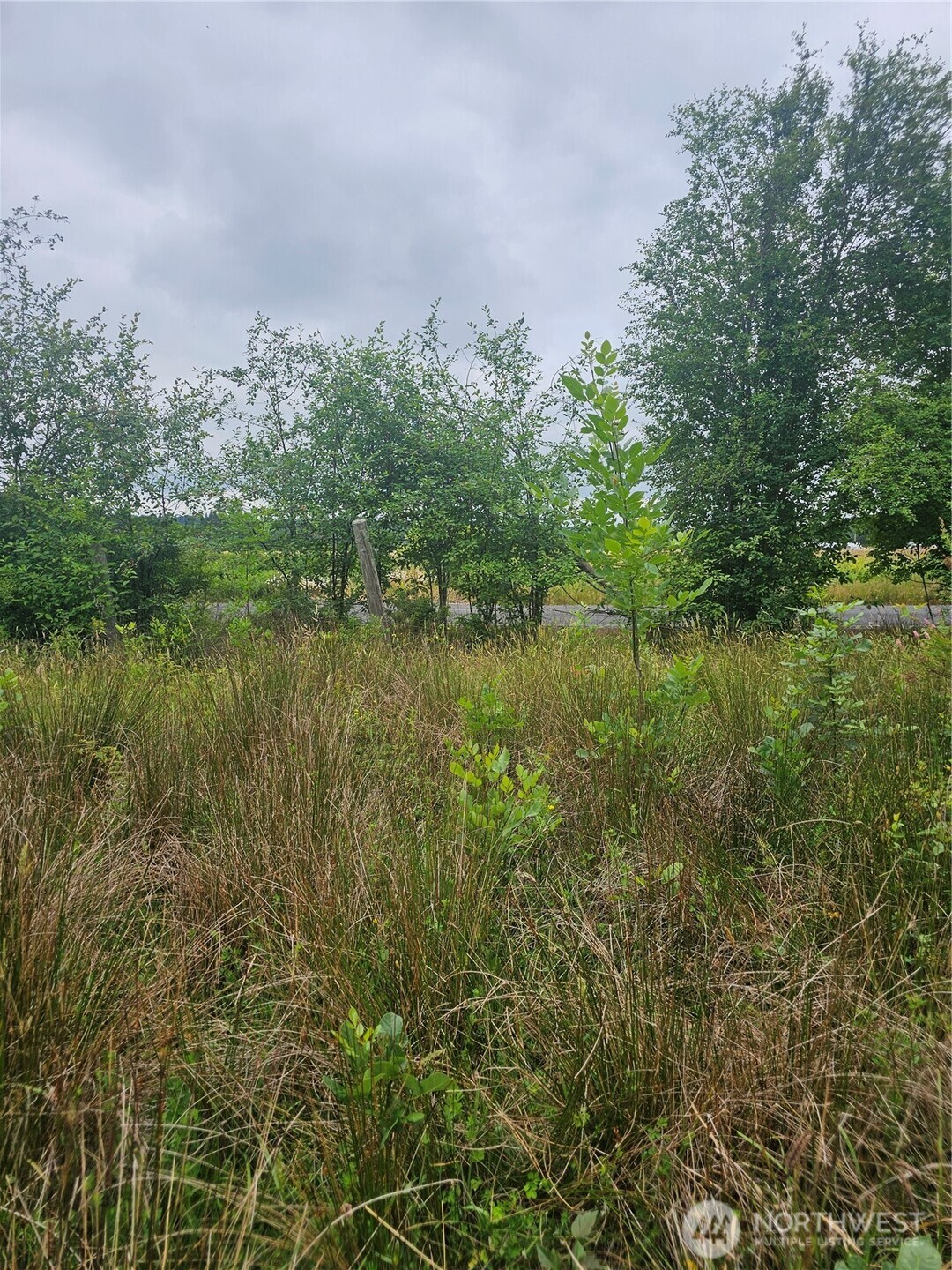 565 Oyler Road Toledo, WA 98591 - Photo 10 of 10 a view of a lush green space