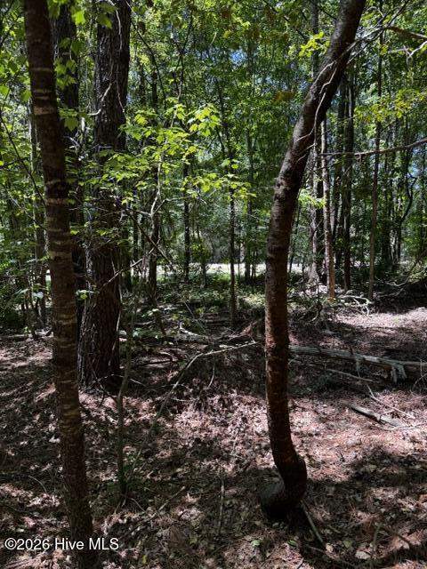 Lot 1 Dan Road Robbins, NC 27325 - Photo 12 of 20 11