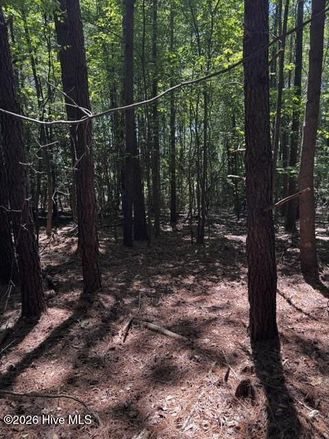 Lot 1 Dan Road Robbins, NC 27325 - Photo 13 of 20 12