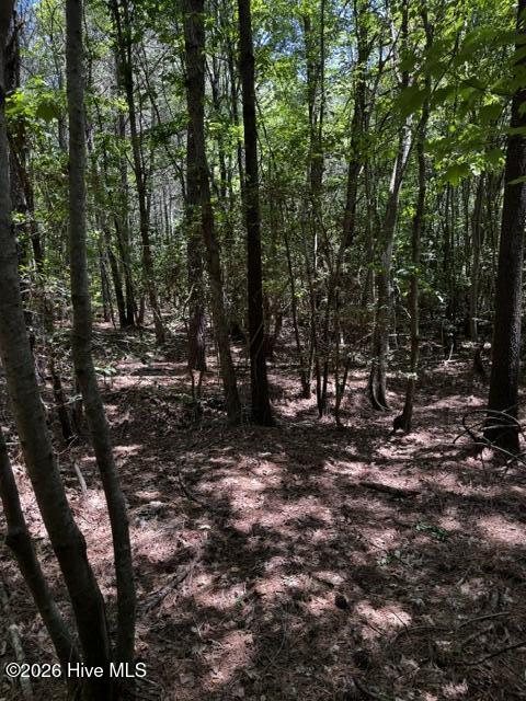 Lot 1 Dan Road Robbins, NC 27325 - Photo 15 of 20 14