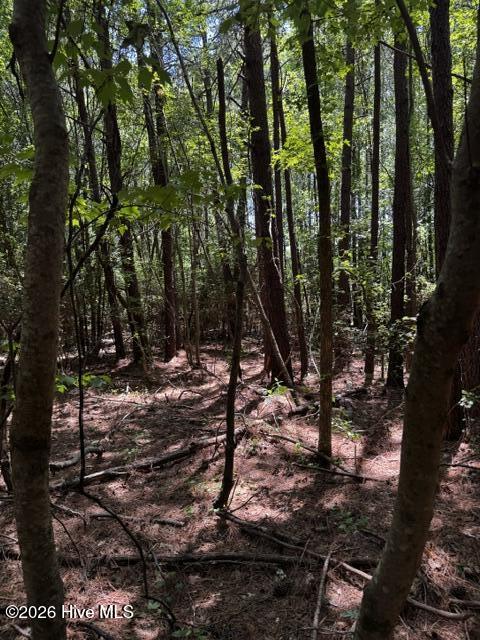 Lot 1 Dan Road Robbins, NC 27325 - Photo 16 of 20 15