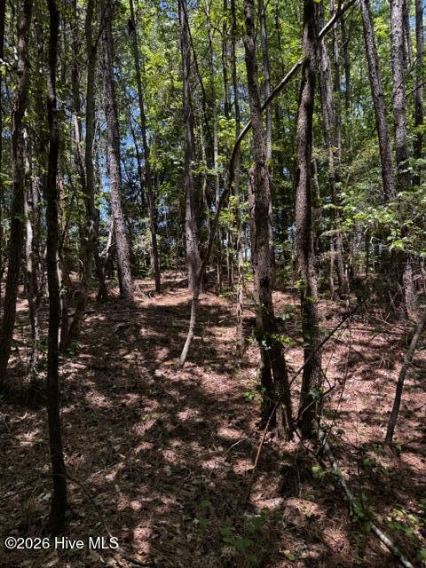 Lot 1 Dan Road Robbins, NC 27325 - Photo 18 of 20 17