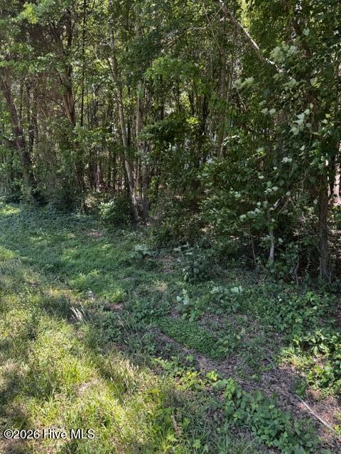 Lot 1 Dan Road Robbins, NC 27325 - Photo 5 of 20 2