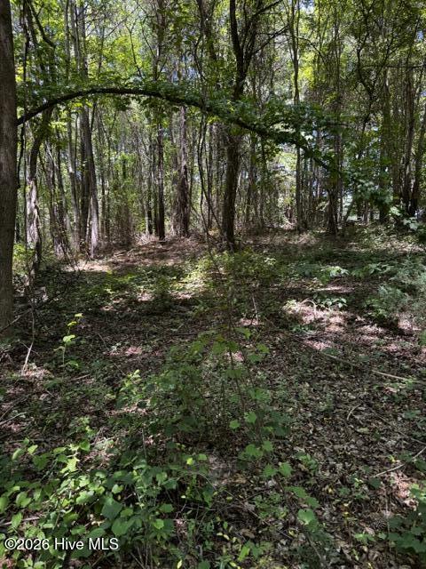 Lot 1 Dan Road Robbins, NC 27325 - Photo 6 of 20 5