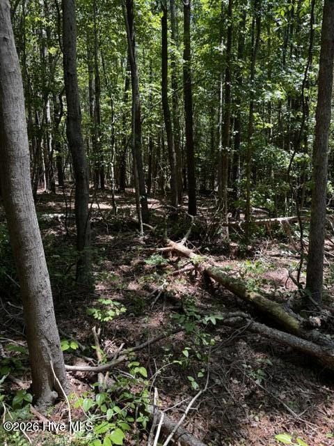Lot 1 Dan Road Robbins, NC 27325 - Photo 8 of 20 7