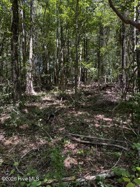 Lot 1 Dan Road Robbins, NC 27325 - Photo 9 of 20 8