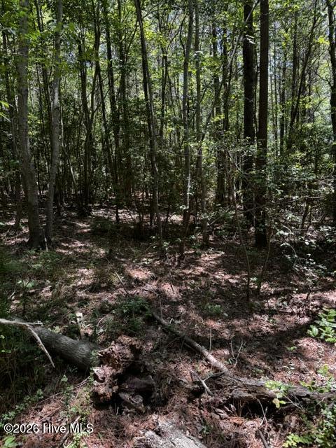 Lot 1 Dan Road Robbins, NC 27325 - Photo 10 of 20 9