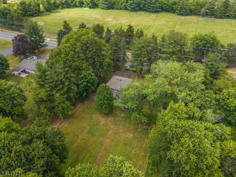 356 South Branch Road Hillsborough, NJ 08844 - Photo 43 of 45
