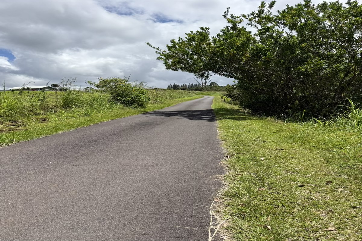 67 Rd C Volcano, HI 96785 - Photo 4 of 5