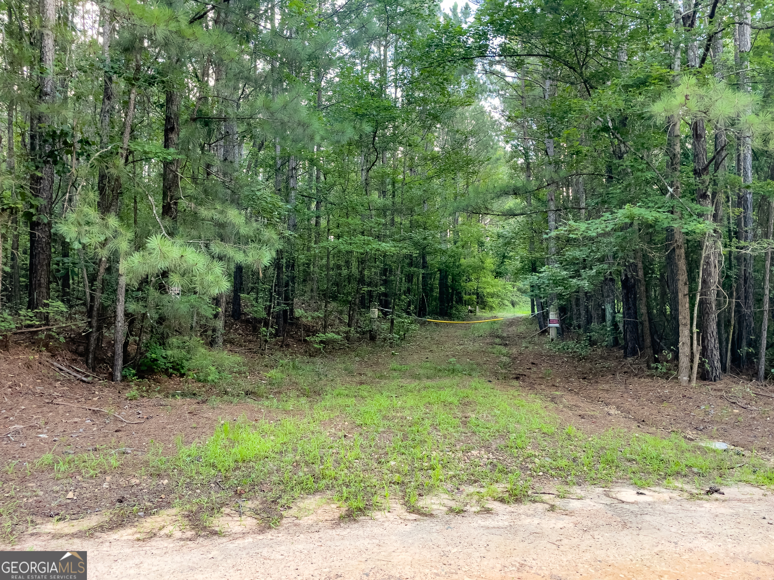 0 Caney Head Road Roopville, GA 30170 - Photo 18 of 22