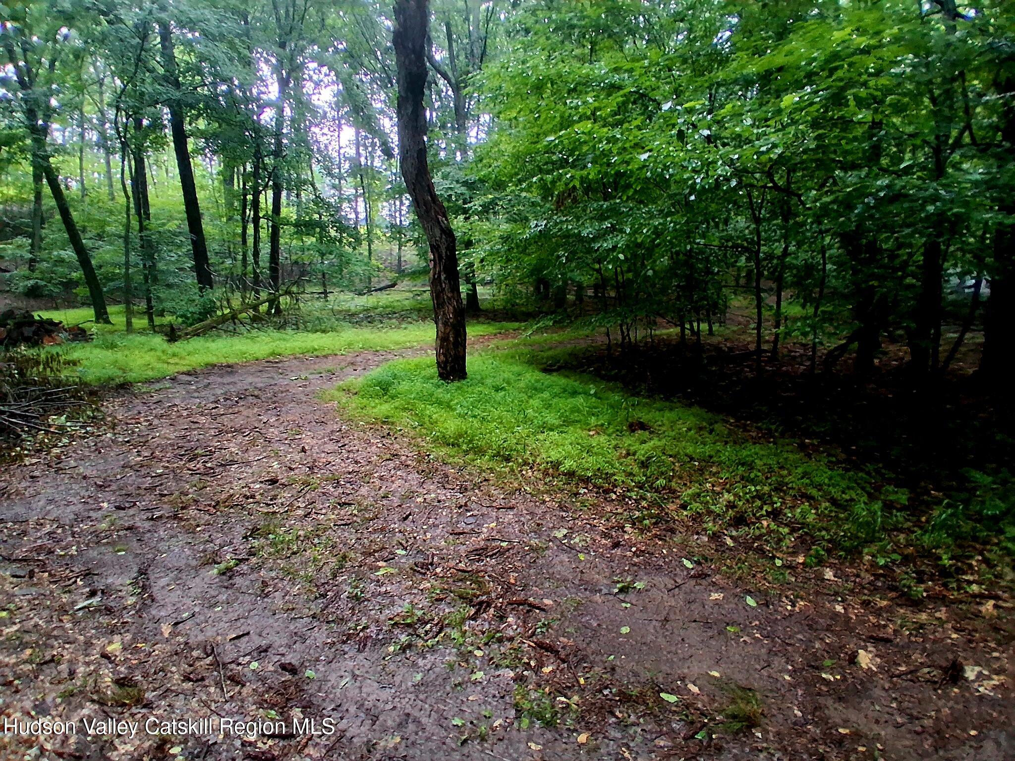 248 Canniff Road Freehold, NY 12431 - Photo 10 of 20 IMG_20260811_215822