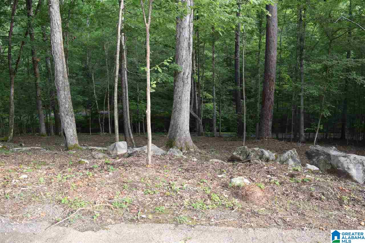 Lot 10 South Hollow Road, Unit 10 Hayden, AL 35079 - Photo 3 of 17