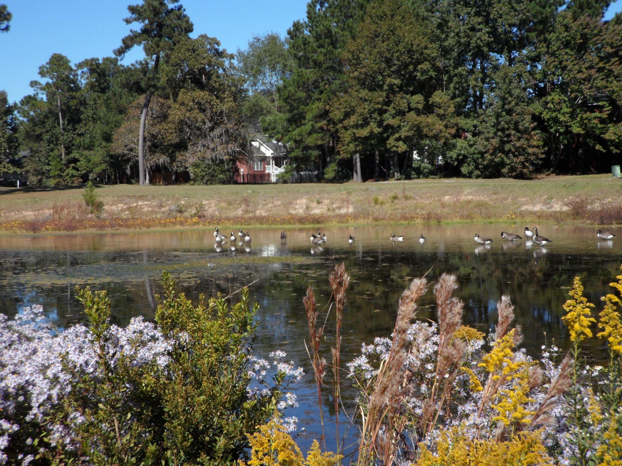 1301 Raven Road Hanahan, SC 29410 - Photo 23 of 26 SAM_3322
