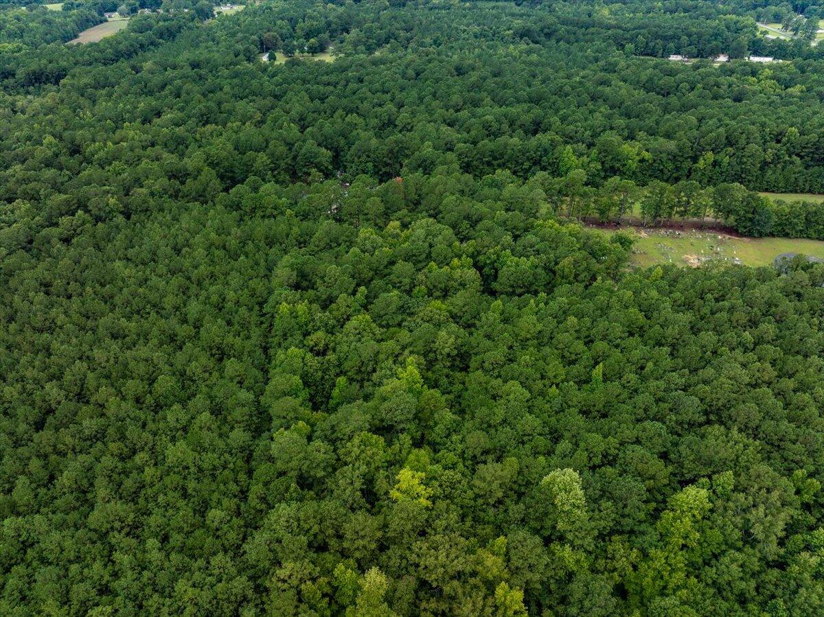 1405 Mendel Rivers Road St. Stephen, SC 29479 - Photo 9 of 11 1405 Mendel Rivers Road