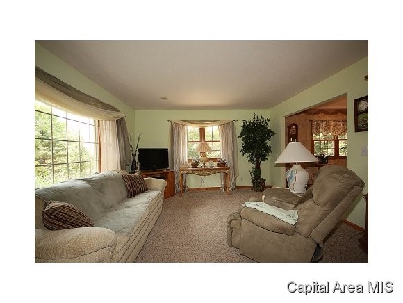 3959 West Washington Street Springfield, IL 62711 - Photo 6 of 24