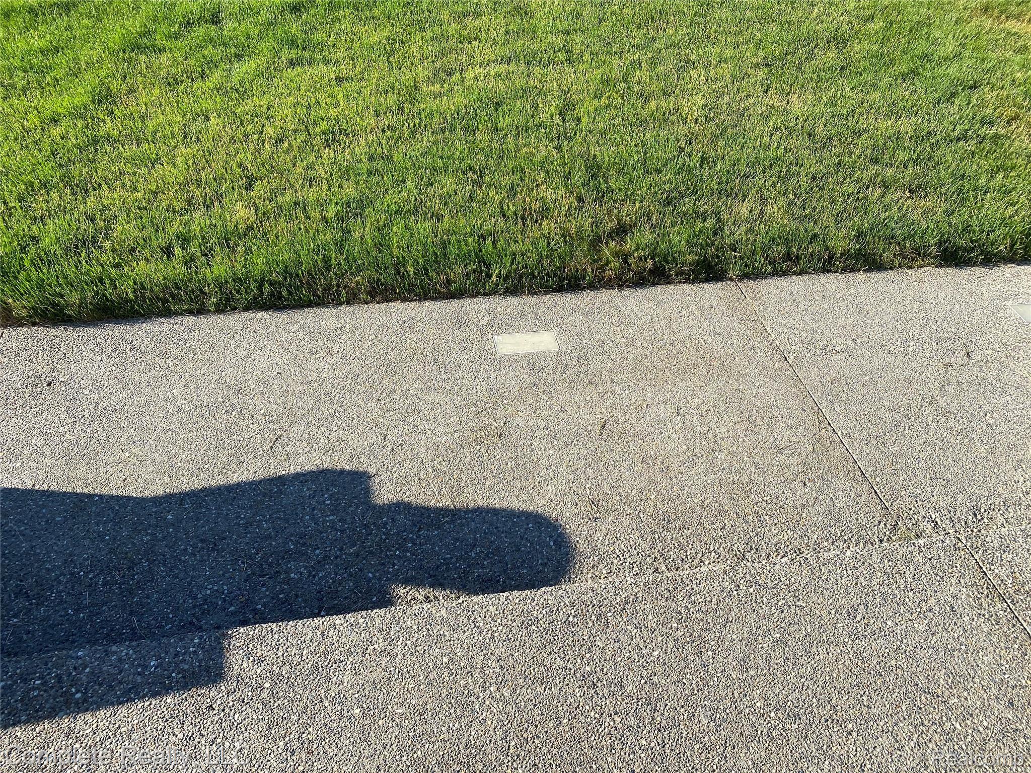 866 Otter Lake Road Fostoria, MI 48435 - Photo 52 of 60 lights in sidewalk