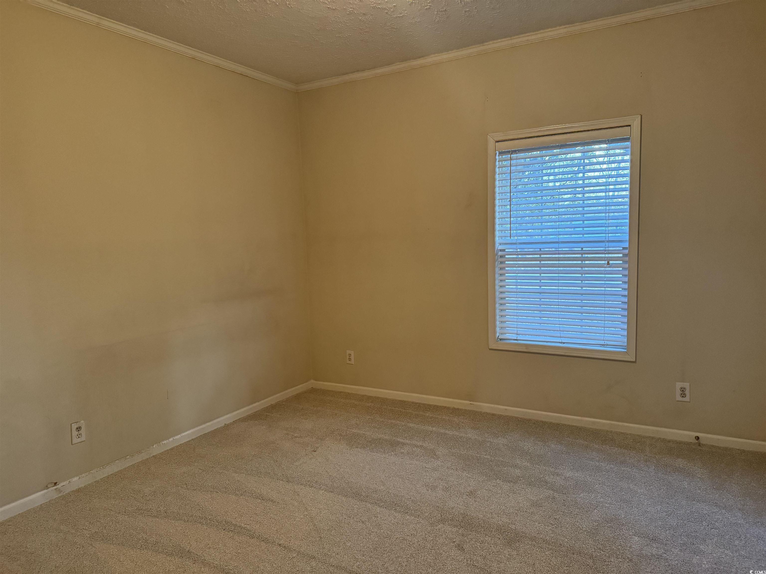 520 Deer Spring Loop Georgetown, SC 29440 - Photo 20 of 23