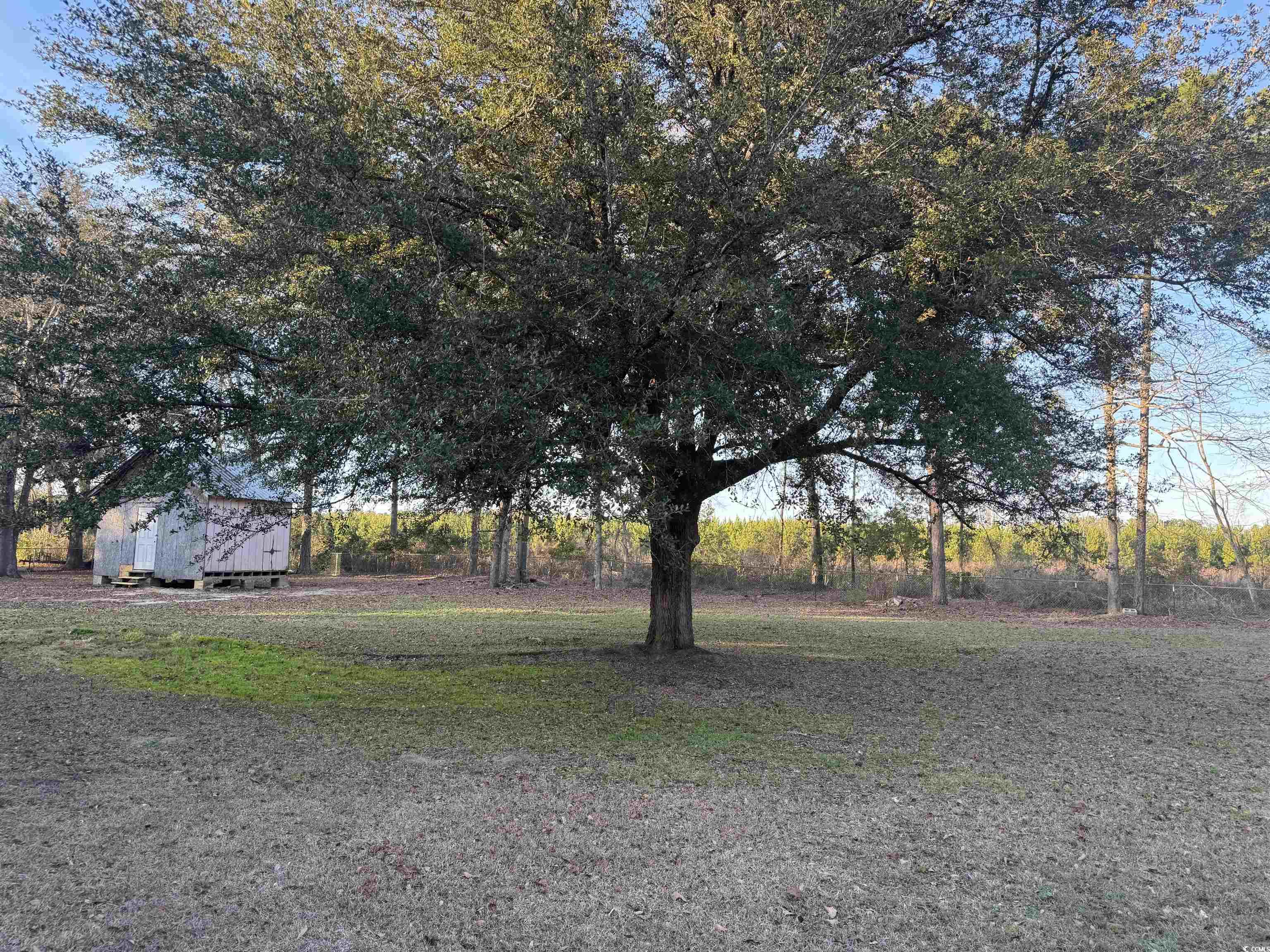 520 Deer Spring Loop Georgetown, SC 29440 - Photo 3 of 23