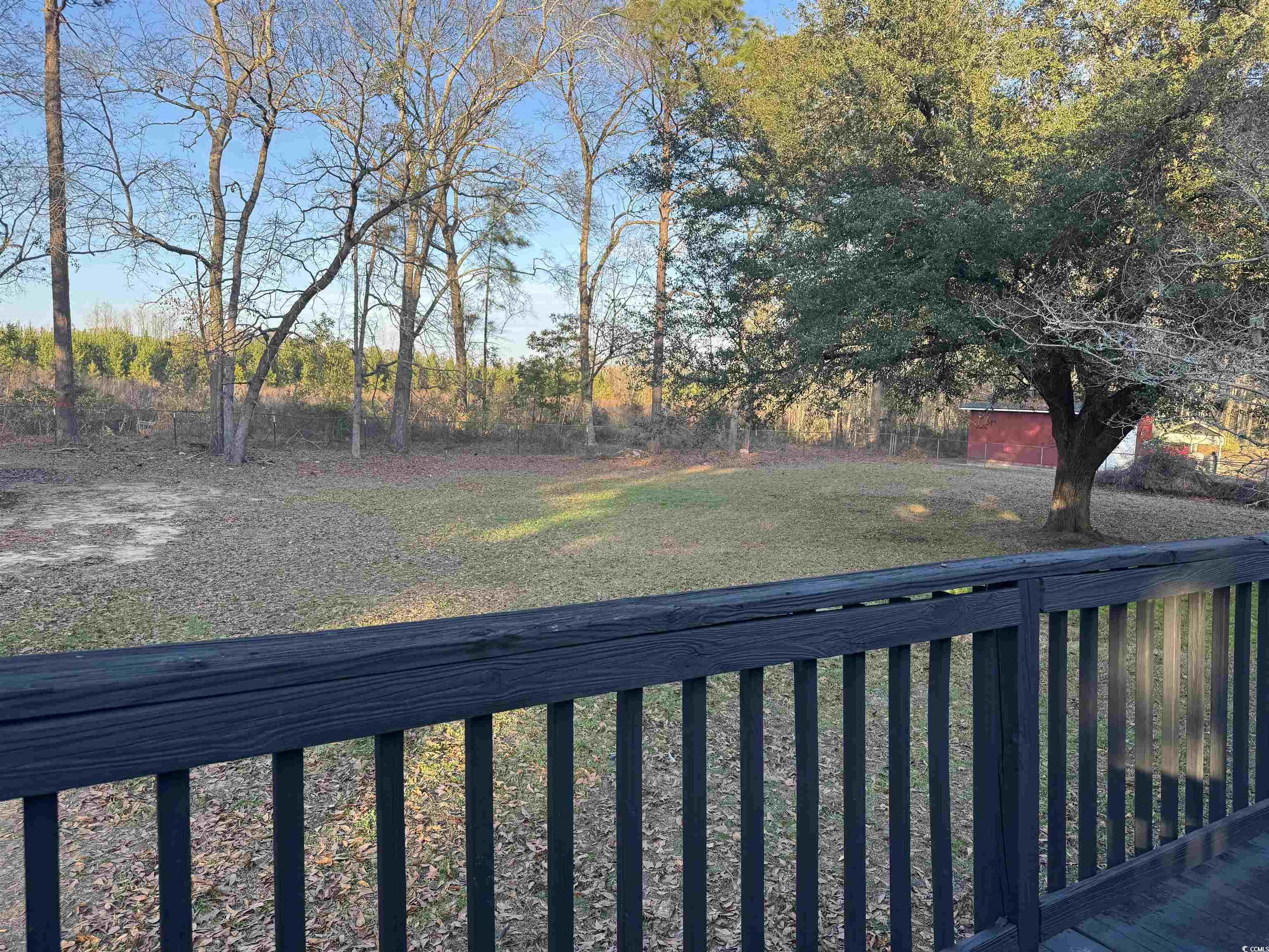 520 Deer Spring Loop Georgetown, SC 29440 - Photo 5 of 23 View of green lawn