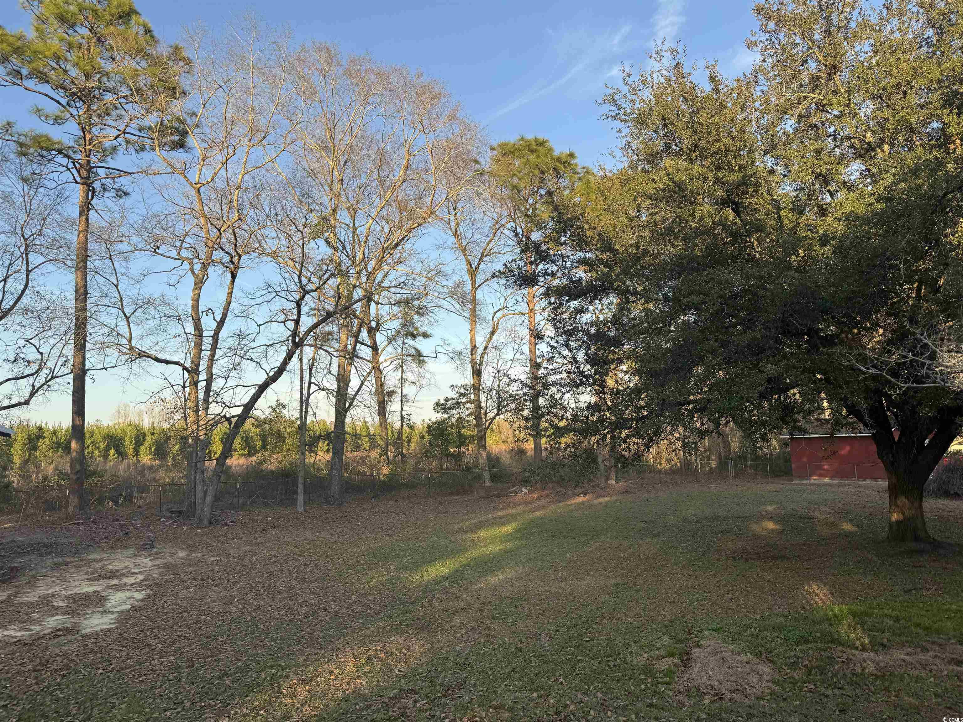 520 Deer Spring Loop Georgetown, SC 29440 - Photo 8 of 23 View of green lawn