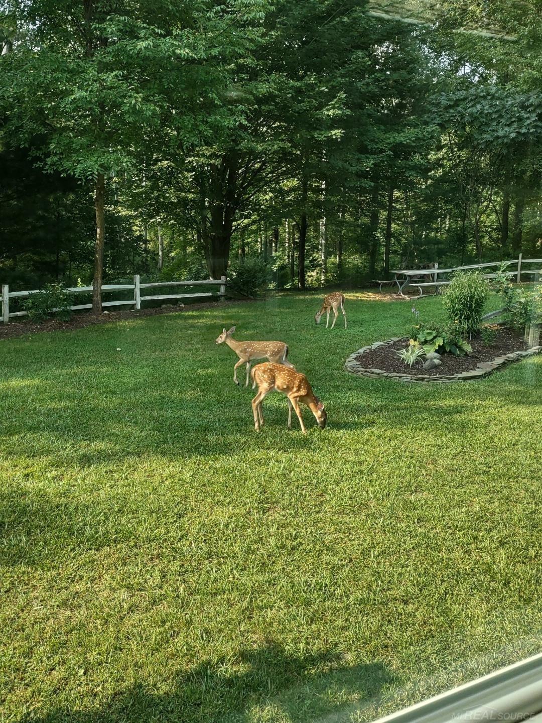 7194 Walding Road Lexington, MI 48450 - Photo 65 of 67 Gallery Image 65